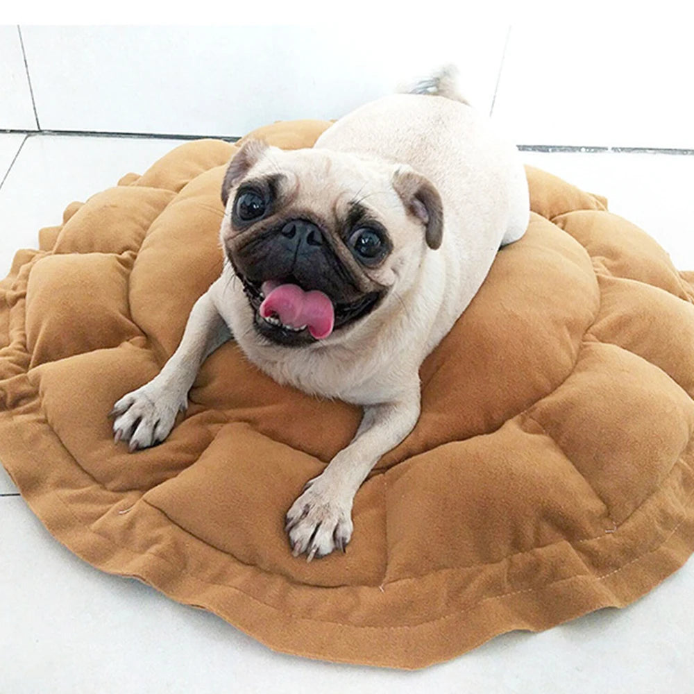 Soft Pet Cat Bed Full Size Washable Calm Dog Bed Round Donut Bed Comfortable Sleeping Artifact Suitable For All Kinds Of Cat Dog