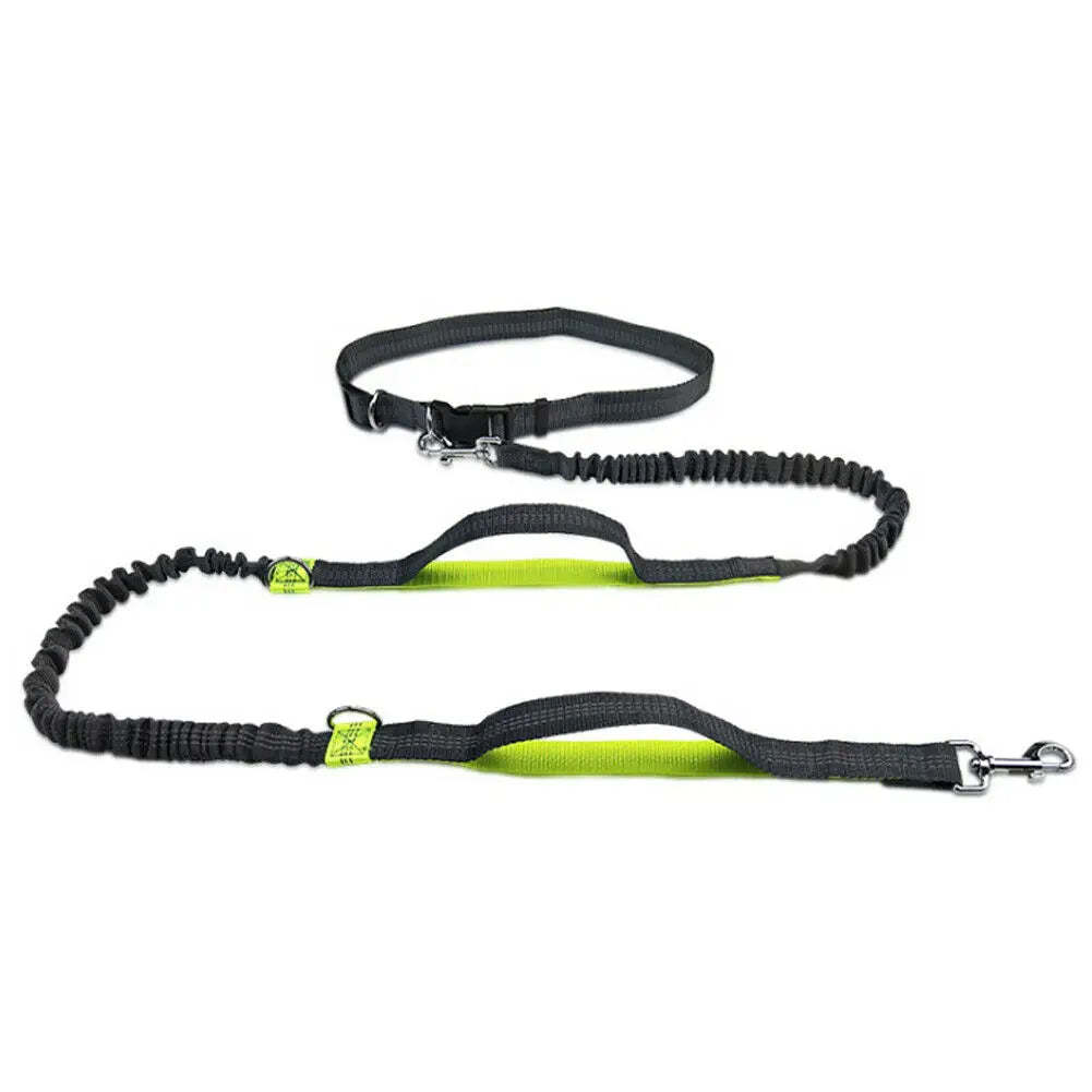 Reflective Leash Traction Rope Pet Dog Running Belt Elastic Hands Freely Jogging Pull Dog Leash Metal D-ring Leashes Harness